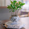 Levitating Plant Pot